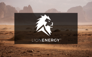 Read more about the article Lion Energy Battery: How to Choose the Best