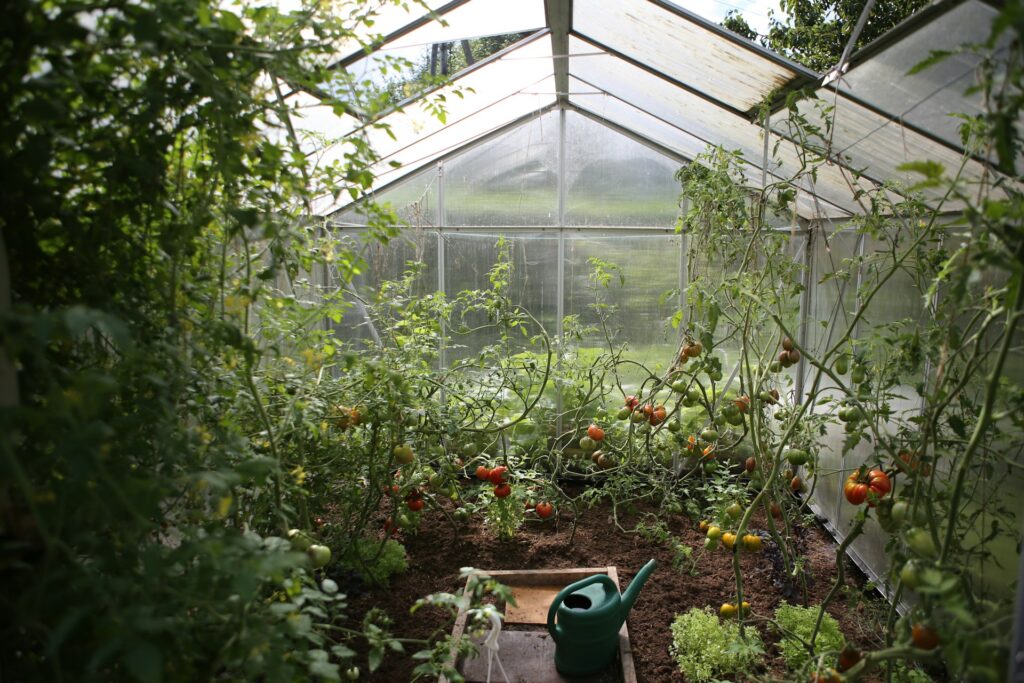 solar power fans for greenhouse