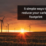 5 simple ways to reduce your carbon footprint today