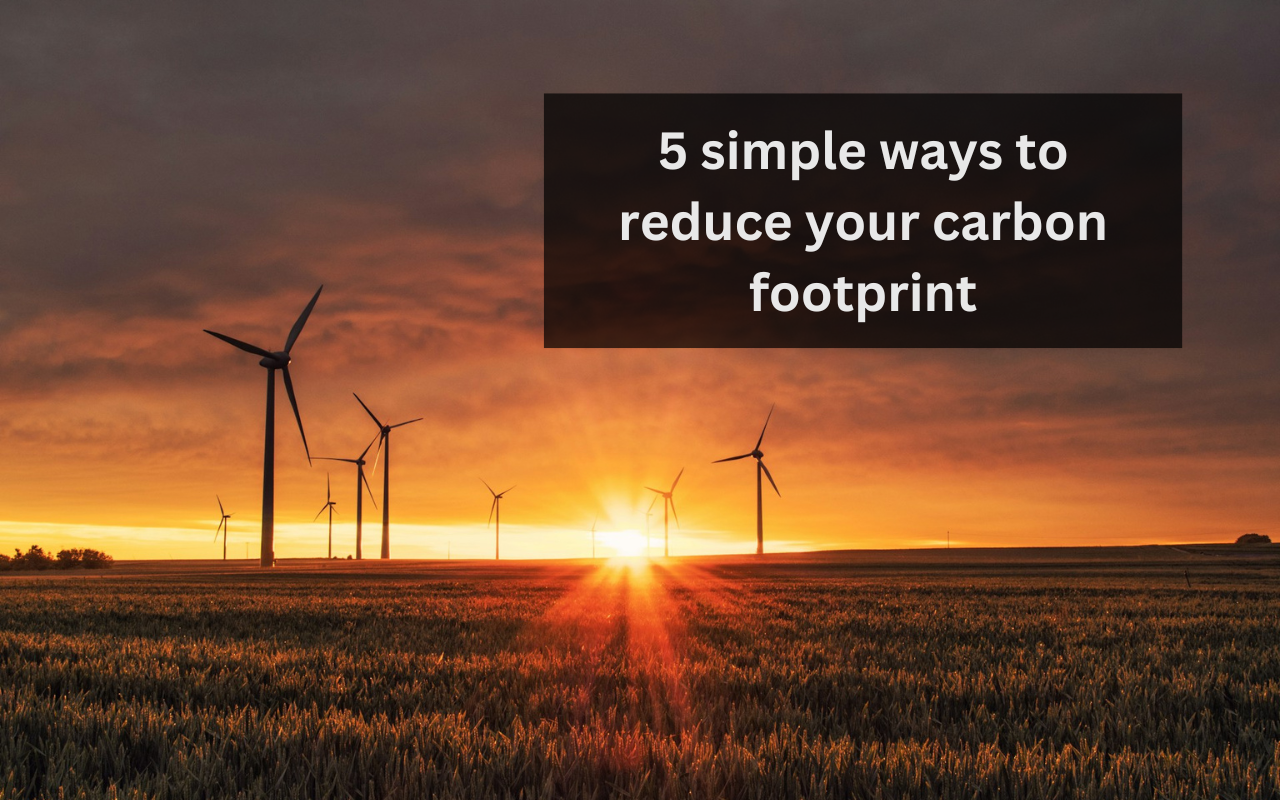 Read more about the article 5 simple ways to reduce your carbon footprint today