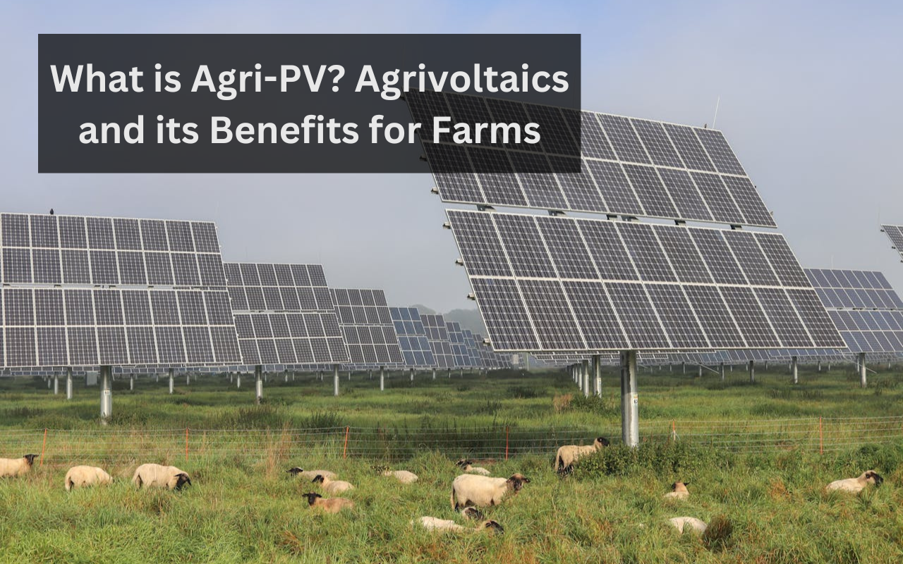Read more about the article What is Agri-PV? Agrivoltaics and its Benefits for Farms