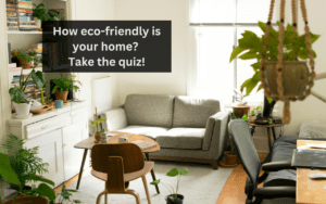 Read more about the article How eco-friendly is your home? Take the quiz!