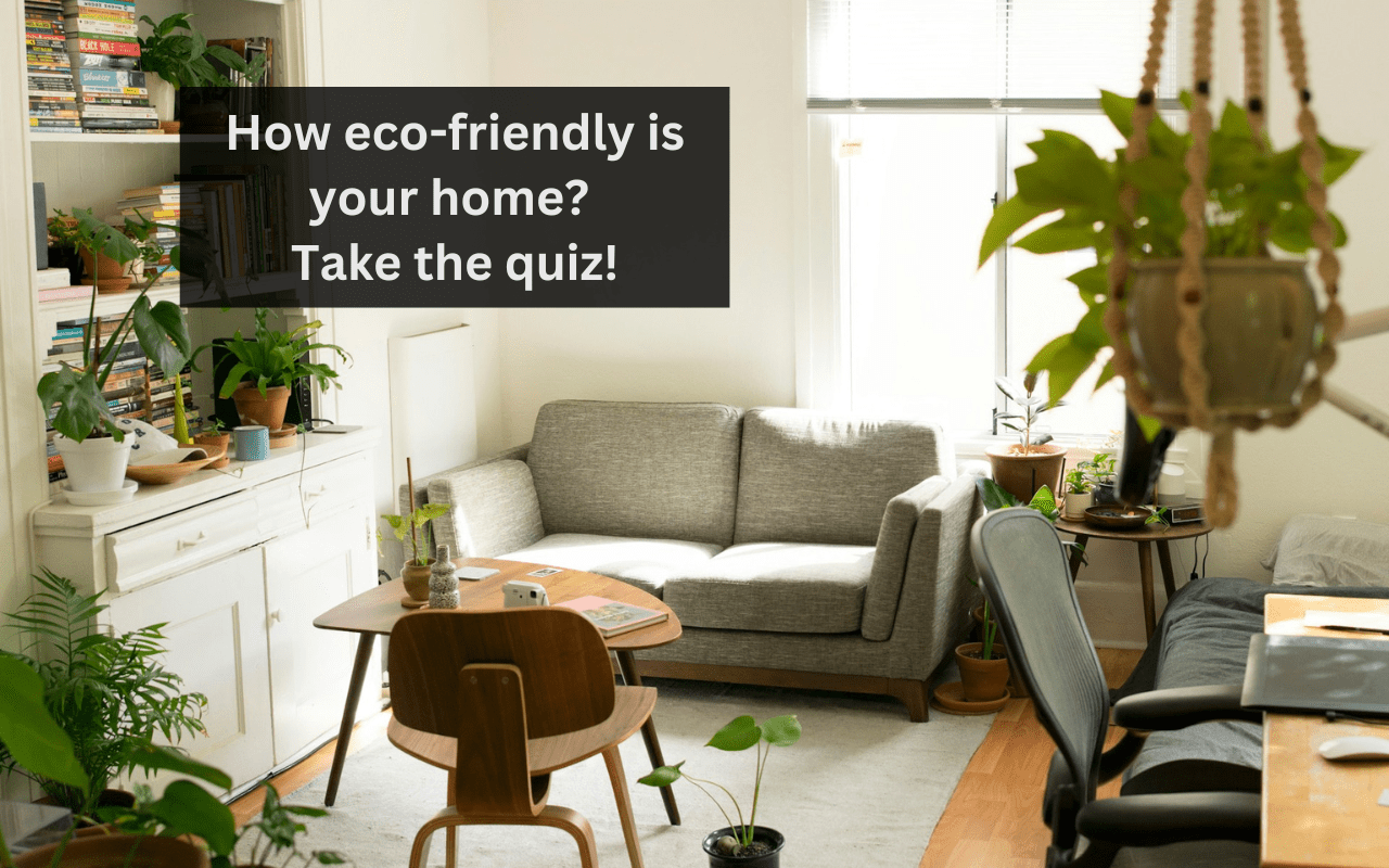 You are currently viewing How eco-friendly is your home? Take the quiz!