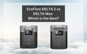 Read more about the article EcoFlow DELTA 2 vs DELTA Max: Which is the best?