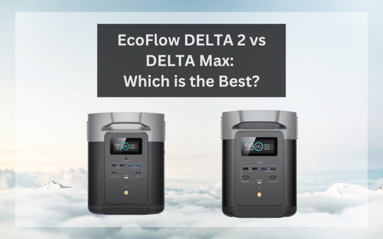 ecoflow delta 2 vs delta max